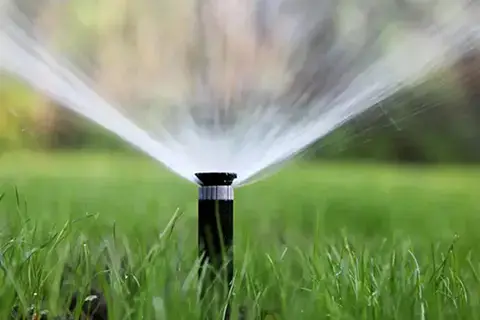 Nozzzall